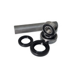 REPARO CUBO DE RODA TRAS DANIDREA - YAMAHA XTZ 250 LANDER