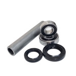 REPARO CUBO DE RODA TRAS DANIDREA - YAMAHA XTZ 250 LANDER