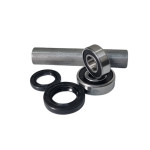 REPARO CUBO DE RODA TRAS DANIDREA - YAMAHA XTZ 250 LANDER