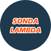 Sonda Lambda (7)