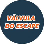 Válvula do Escape (19)