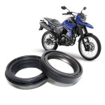 RETENTOR (PAR) BENGALA GARFO - VEDAMOTORS - 41X53X8,0/9,5 - G310, LANDER, TENERE, MT03, R3, ER6N, BANDIT, VULCAN 650, MT09, MT07