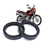 RETENTOR (PAR) BENGALA GARFO - VEDAMOTORS - 41X54X11 - CB 500F, NC 700 750, VERSYS 300 650, FALCON, XRE 300, LANDER, CRF 250